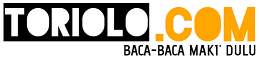 TORIOLO.COM